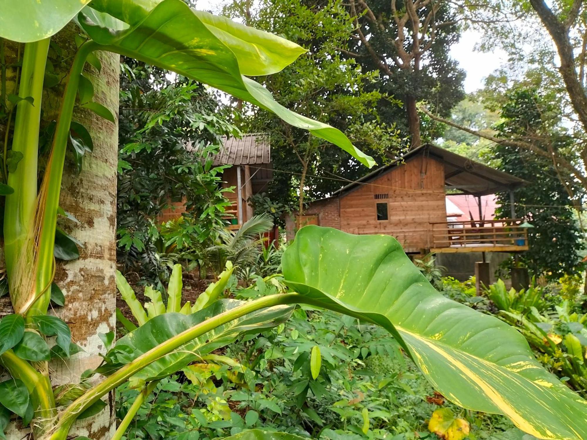 Santi Garden Bungalows Iboih Buitenkant foto