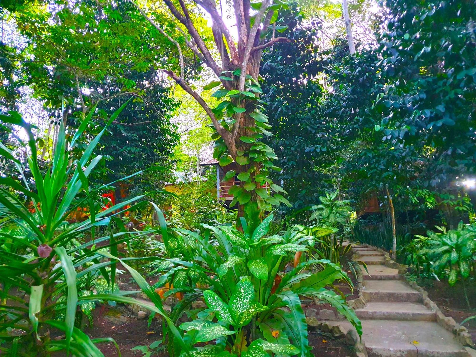 Santi Garden Bungalows Iboih Buitenkant foto